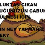 Buzluktan çıkan tavuğun hemen çözülmesi için ne yapmalı?