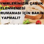 DOLAPTAKİ PEYNİRLERİNİZİN BOZULMAMASI İÇİN YAPILMASI GERKENLER