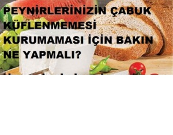 DOLAPTAKİ PEYNİRLERİNİZİN BOZULMAMASI İÇİN YAPILMASI GERKENLER