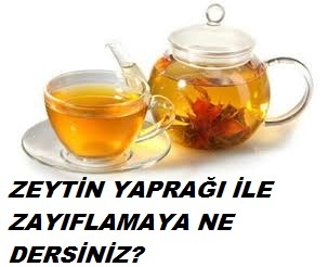 ZEYTİN YAPRAĞI İLE ZAYIFLAMA ÇAYI YAPILIŞI