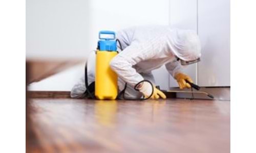 BÖCEK İLACI NASIL YAPILIR?