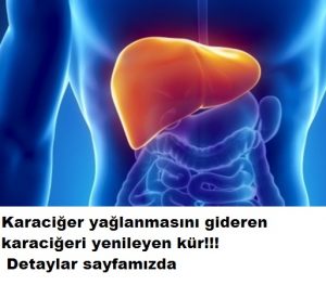 Read more about the article KARACİĞER TEMİZLEYEN KÜR