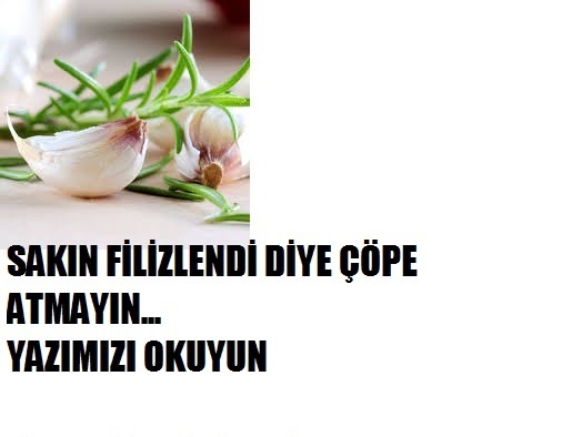 Filizlenen sarımsağı atmayın