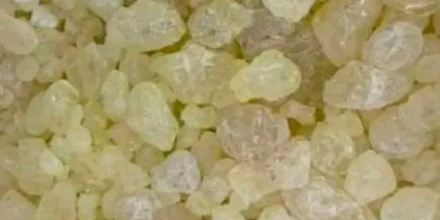 BİR ÇOK HASTALIĞA İYİ GELEN SAKIZ