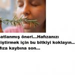 HAFIZAYI GELİŞTİREN BİTKİ