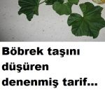 Böbrek taşını düşüren denenmiş tarif