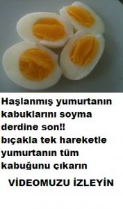 Read more about the article Kaşıkla haşlanmış yumurtanın kabuğunu tek hamlede çıkarın