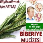 Biberiye çayı adeta mucize