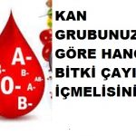 Kan grubuna göre hangi bitki çayını içmelisin