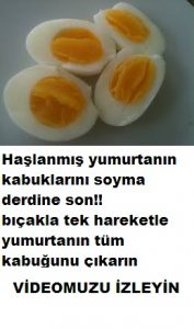 Read more about the article Kaşıkla haşlanmış yumurtanın kabuğunu tek hamlede çıkarma