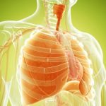 Akciğerleri temizleyen doğal karışım