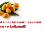 Evde C vitamini tozunu kendiniz yapın
