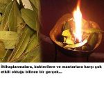 Bu yaprakları 10 dakika yakın ve mucizeye şahit olun