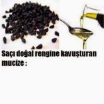 Beyazlayan saçları eski haline döndüren yağ