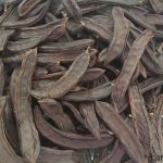 Diyet hapı yerine bakın ne kullanabilirsiniz