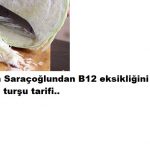 B 12 EKSİKLİĞİNİ GİDEREN TURŞU TARİFİ