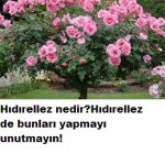 HIDIRELLEZ GECESİ BUNLARI YAPMAYI UMUTMAYIN