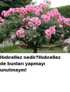Read more about the article HIDIRELLEZ GECESİ BUNLARI YAPMAYI UMUTMAYIN