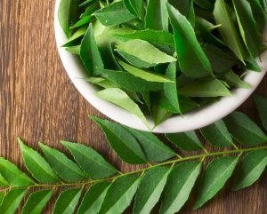 Read more about the article Saç beyazlamasını önlemeden kilo vermeye kadar etkili bu bitkinin yaprakları