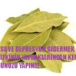 Depresyon ve stres için bu bitkinin yapraklarını tütsü yapın