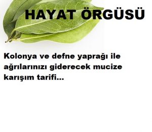 Read more about the article Ağrıları yok eden defne yapraklı tarif