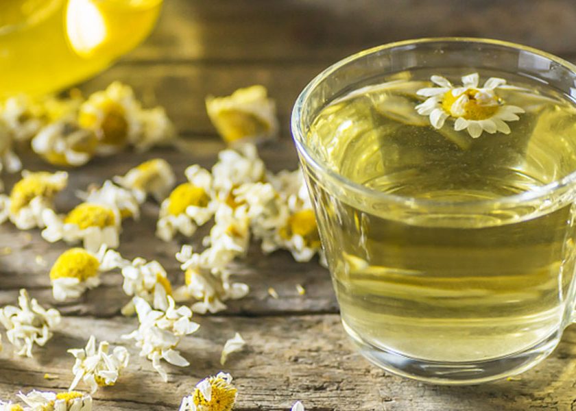 Papatya çayının faydalarını duyunca şaşıracaksınız