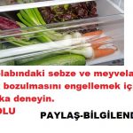 Buzdolabına sebze bölümüne sebze koyun bakın neden