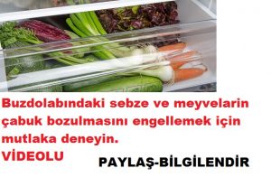 Read more about the article Buzdolabına sebze bölümüne sebze koyun bakın neden