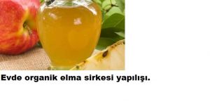 Read more about the article Evde elma sirkesi yapılışı