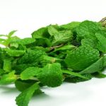 AĞRI KESİCİDEN BİLE 10 KAT DAHA ETKİLİ BU BİTKİNİN YAĞI