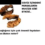 Ceviz içindeki perdeleri sakın atmayın bakın mucize etkisi ne