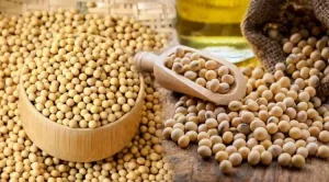 Read more about the article Bu besinler kilo verdiriyor