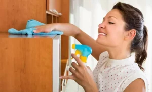 Read more about the article Toz almayı geciktiren karışım