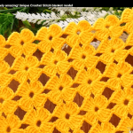 Tığ işi harika model yapılışı