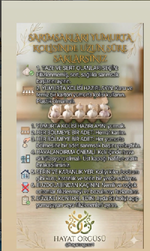 Yumurta kolisinde sarımsak saklama yöntemi