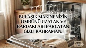 Bulaşık makinesinde bardak parlatma beyaz sirke - Hayat Örgüsü