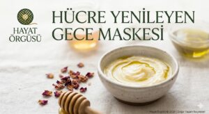 aidin-salih-gercek-tip-hucre-yenileyen-dogal-gece-maskesi-tarifi