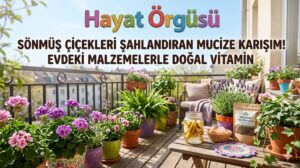 Hayat Örgüsü - Kuruyan çiçekleri canlandıran muz kabuğu kürü ve doğal tavsiyeler.