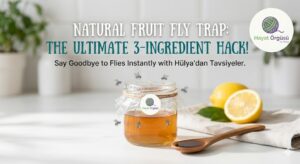 Natural fruit fly trap with apple cider vinegar -
