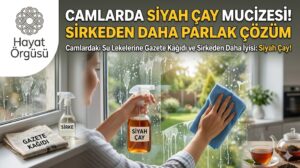 Camlardaki su lekeleri için sprey şişesinde siyah çay ile temizlik yöntemi ve parlayan camlar