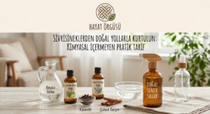 Hindistan cevizi yağı ve uçucu yağlar ile hazırlanan doğal ev yapımı sinek kovucu sprey."